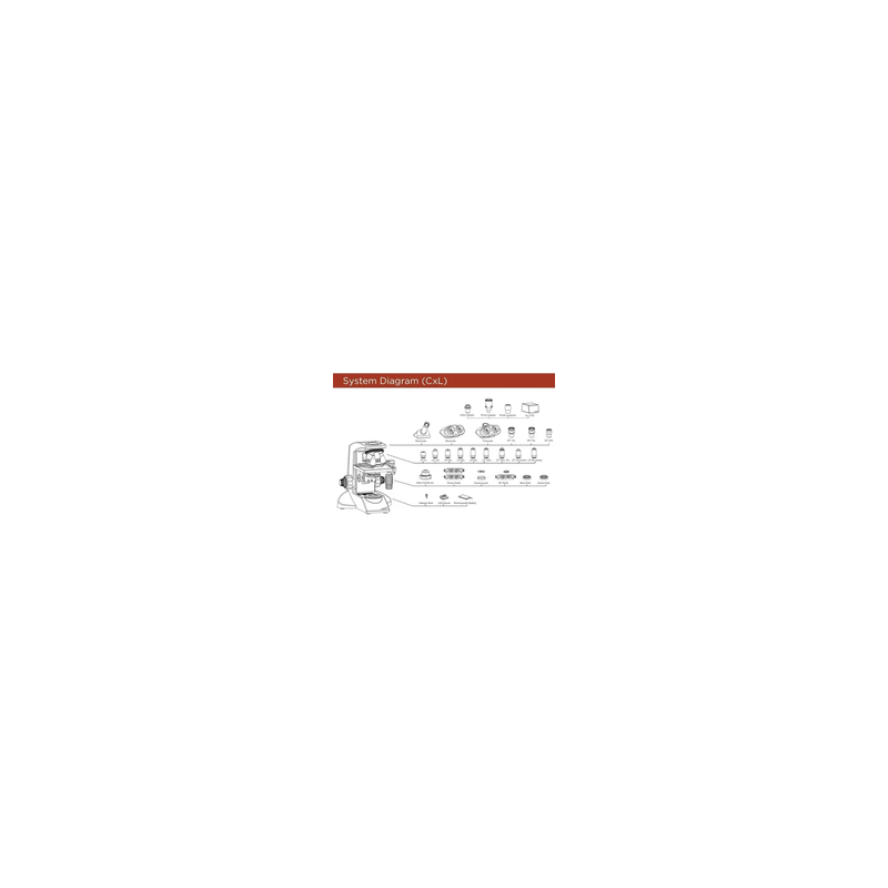 Microscopio Trinocular Cxl Labomed